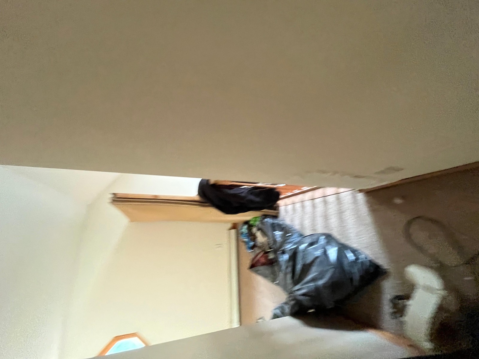 #11 photo, 253 Old South Durham Highway, Acra , NY 12405