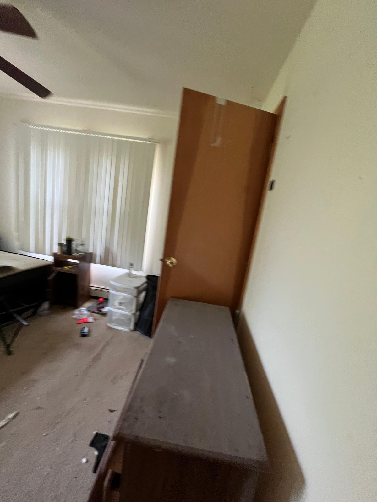 #17 photo, 253 Old South Durham Highway, Acra , NY 12405