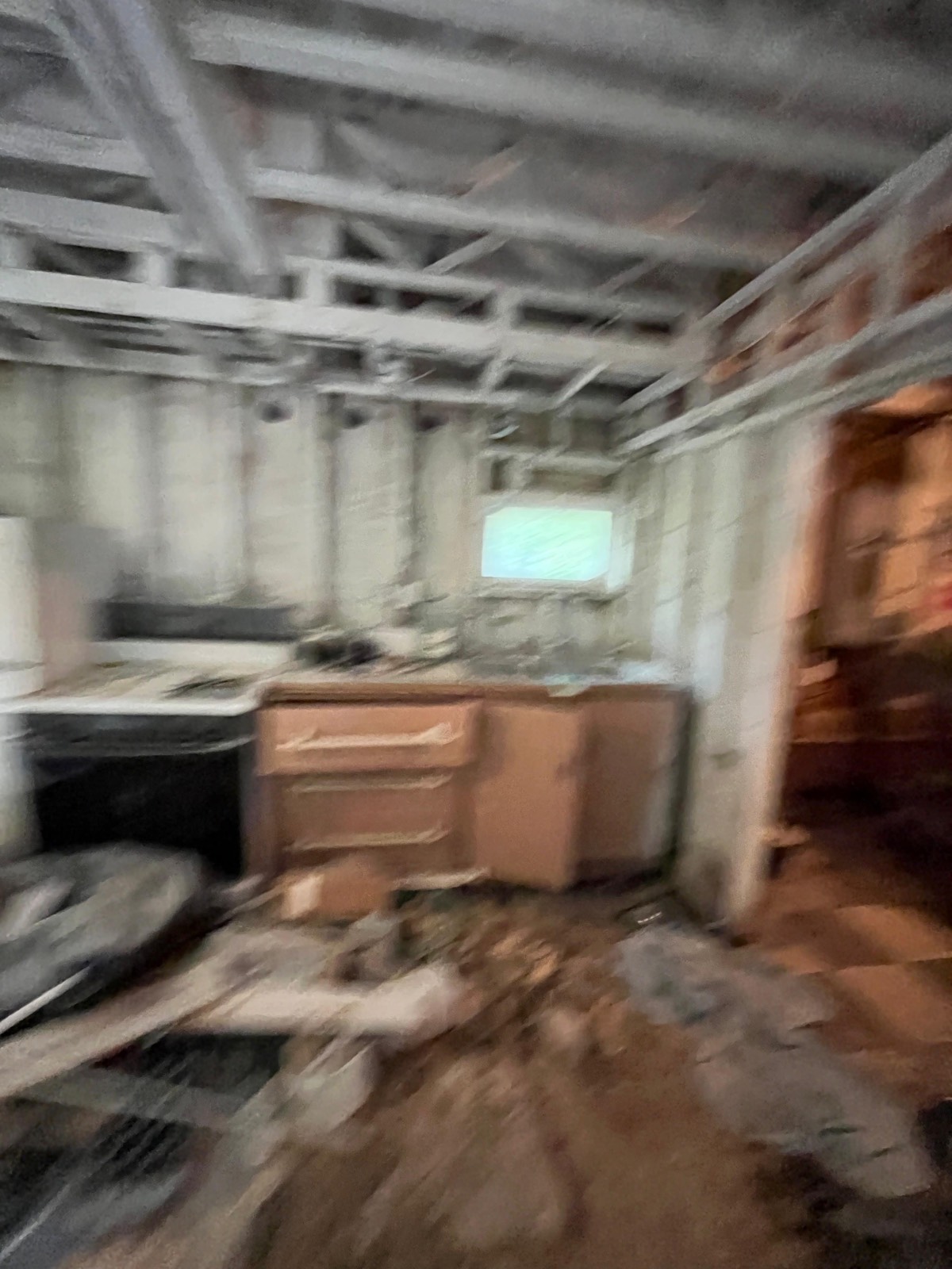 #28 photo, 253 Old South Durham Highway, Acra , NY 12405