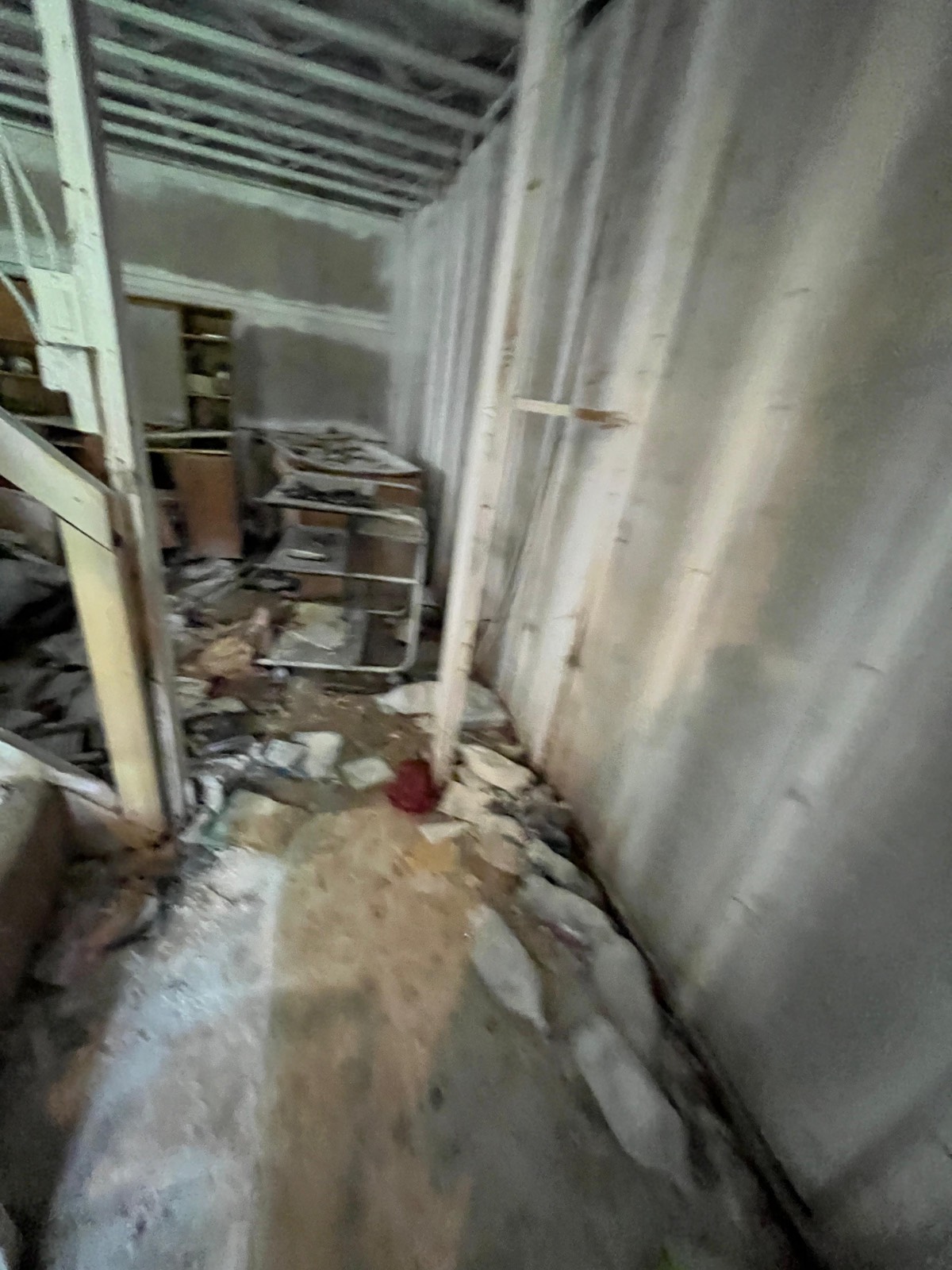 #29 photo, 253 Old South Durham Highway, Acra , NY 12405