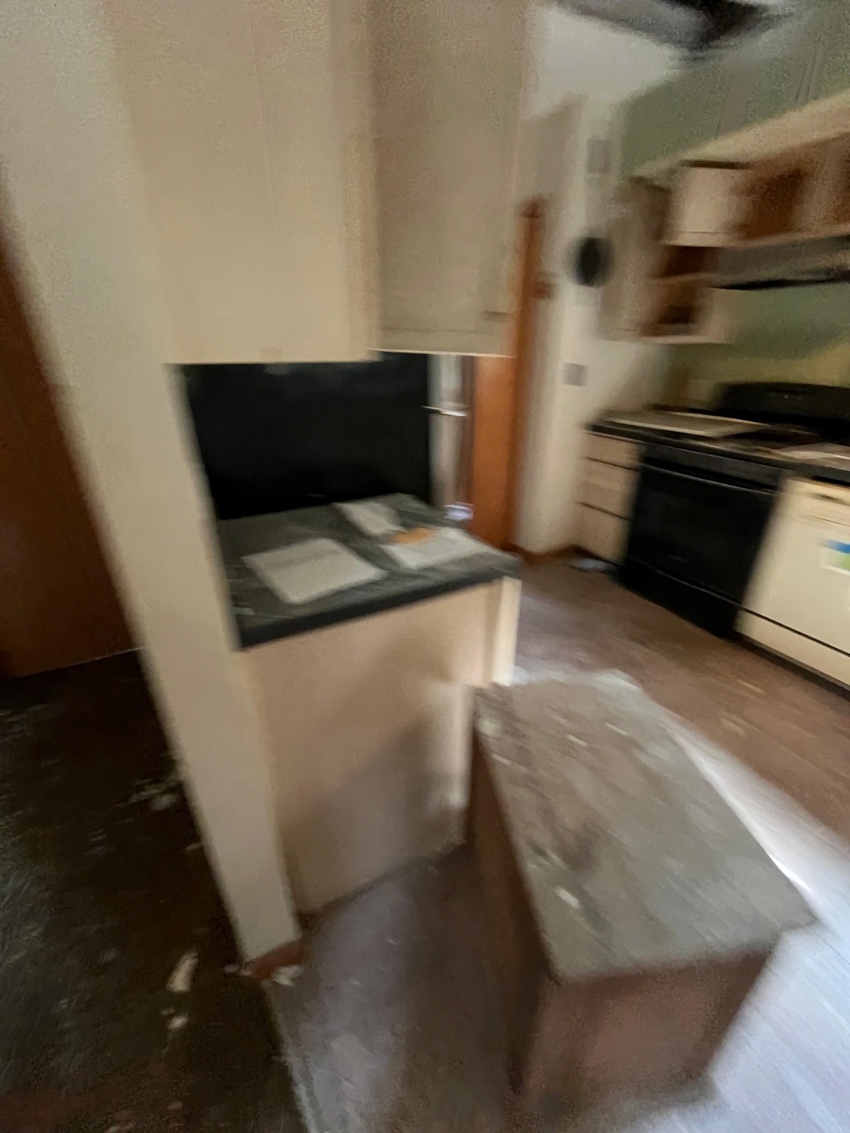 #33 photo, 253 Old South Durham Highway, Acra , NY 12405