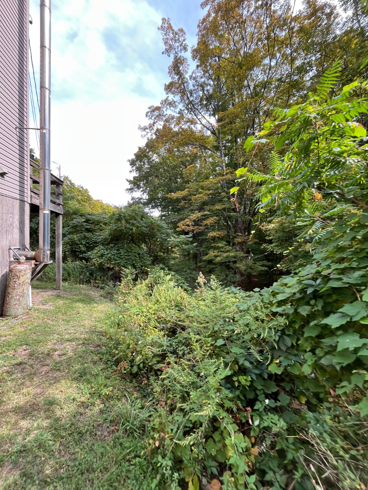 #47 photo, 253 Old South Durham Highway, Acra , NY 12405