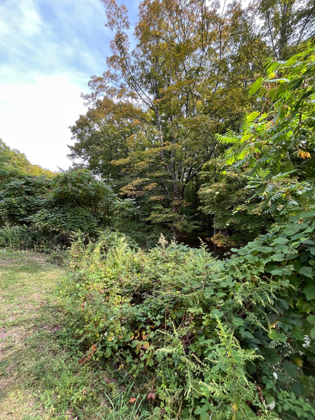 #48 photo, 253 Old South Durham Highway, Acra , NY 12405