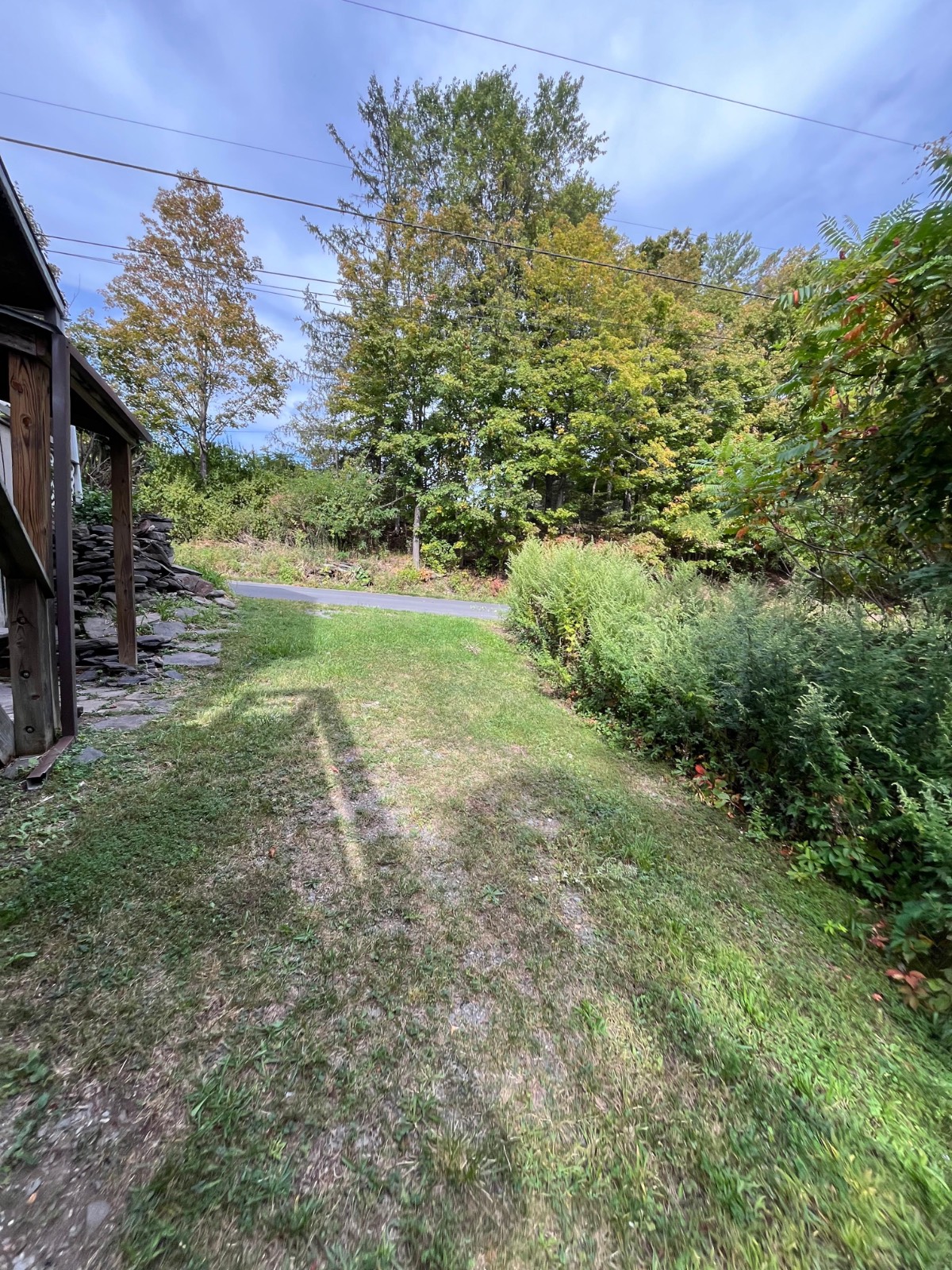 #49 photo, 253 Old South Durham Highway, Acra , NY 12405