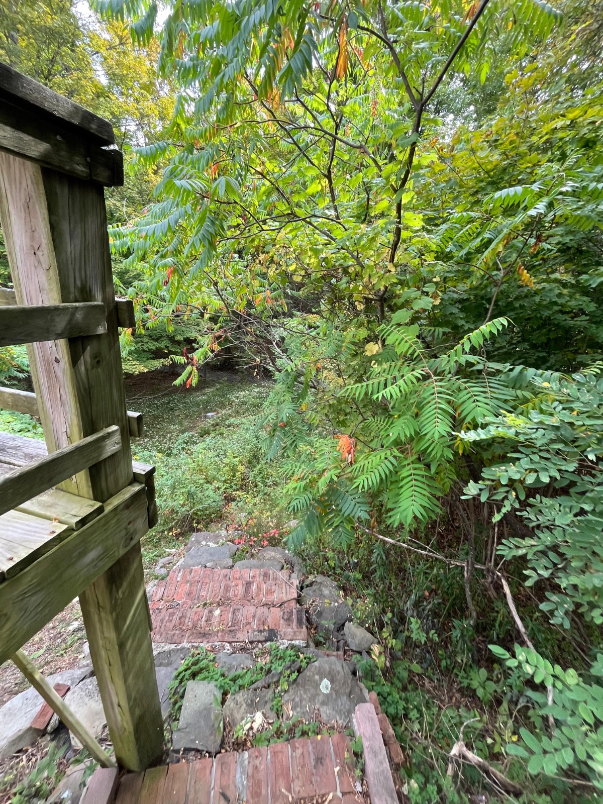 #50 photo, 253 Old South Durham Highway, Acra , NY 12405