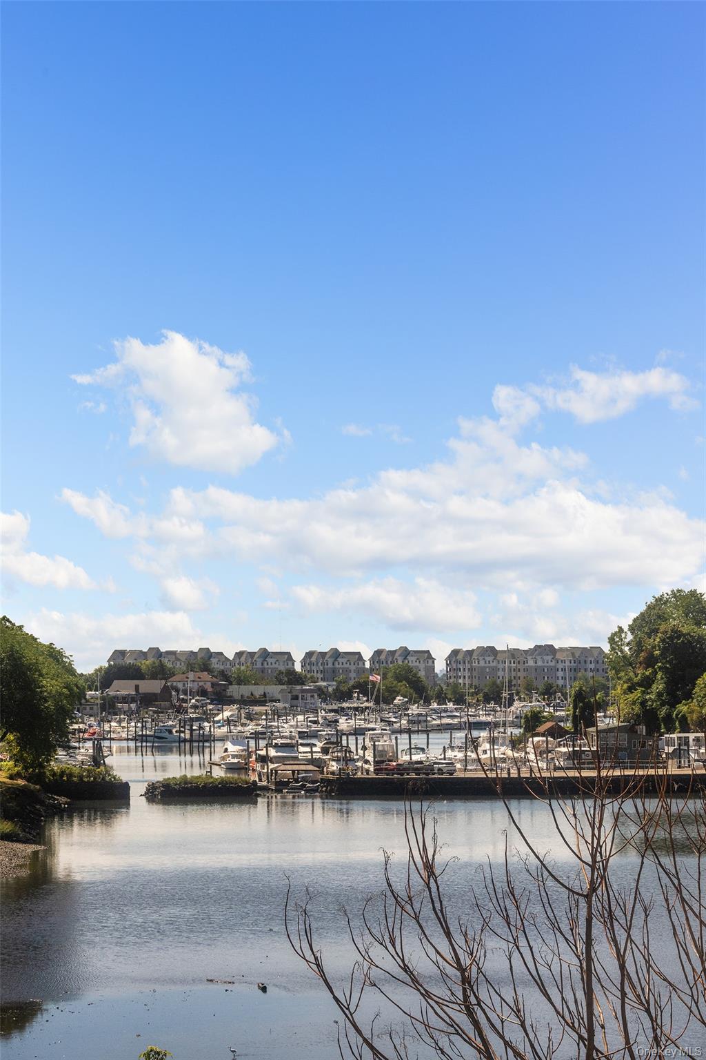 #11 photo, 220 Pelham Road, New Rochelle , NY 10805