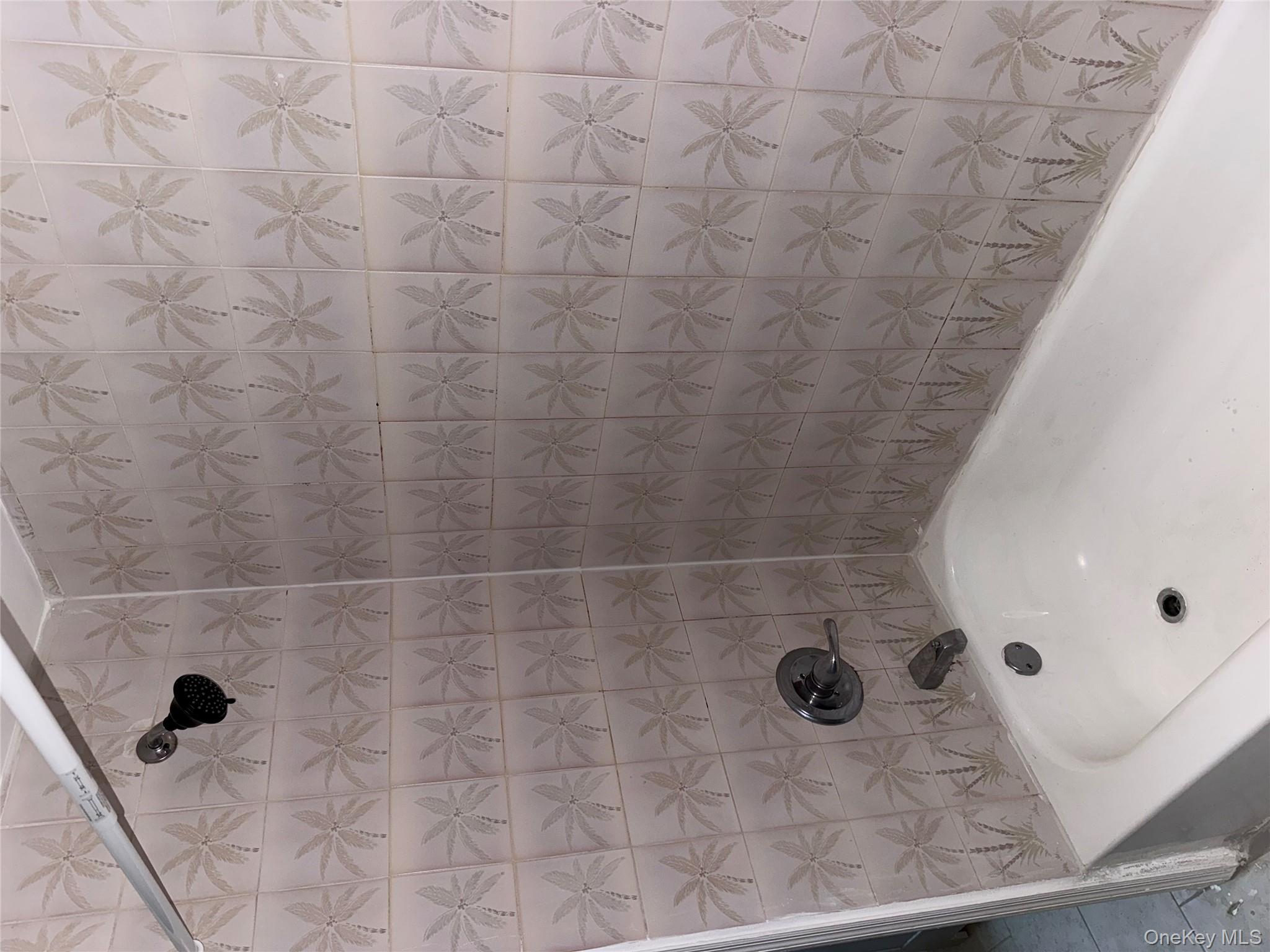 #13 photo, 123 W Parmenter Street, Newburgh , NY 1255