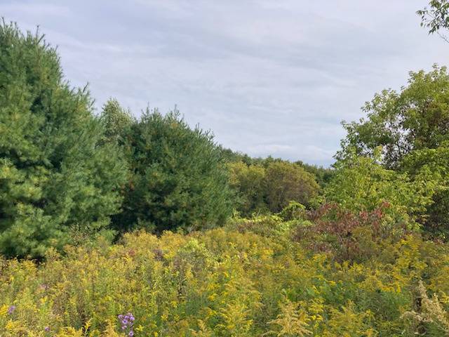 #4 photo, 0 Link Rd, #16, Rome , NY 13440