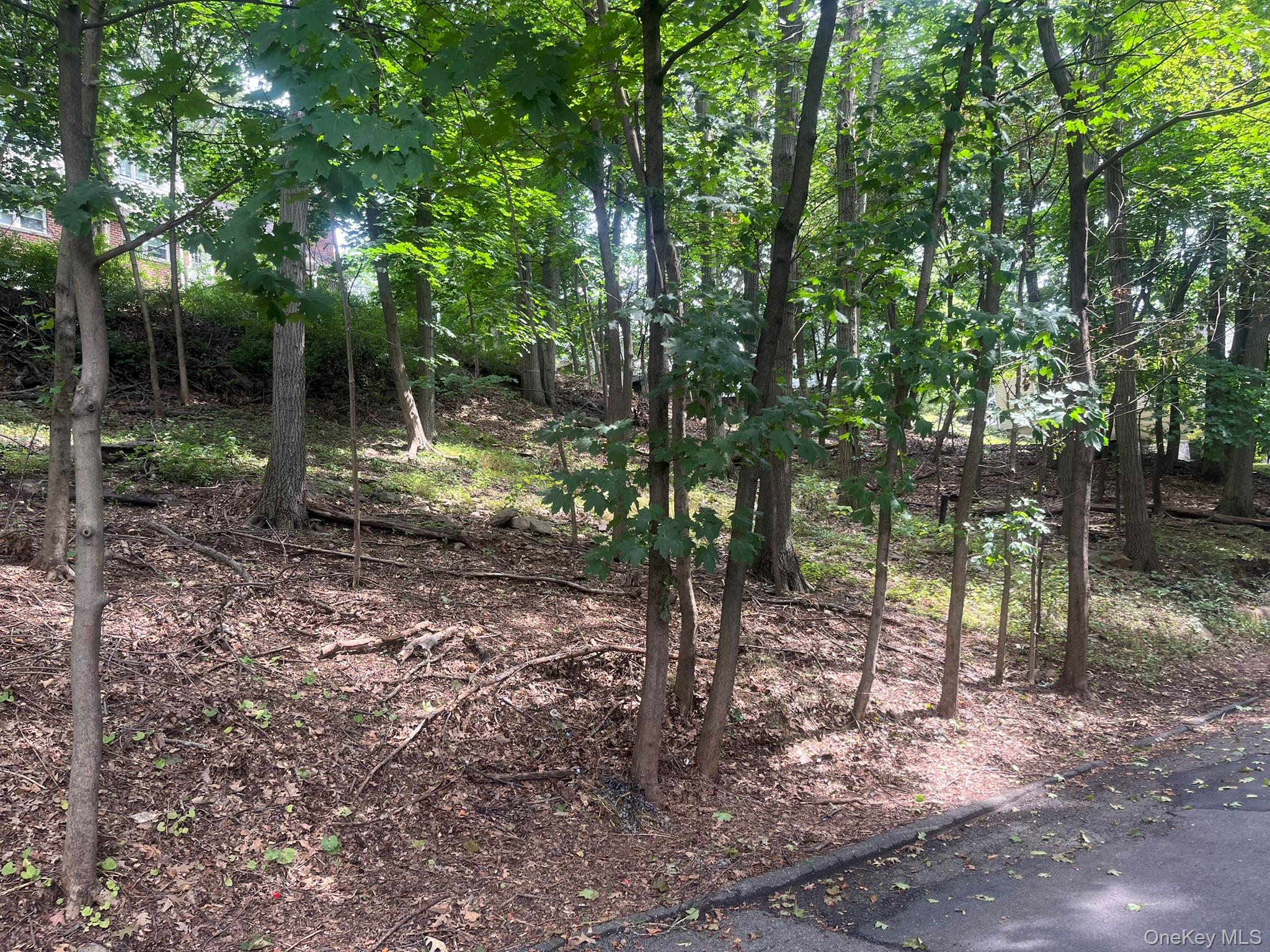 #1 photo, Springwood Avenue, Ardsley , NY 10502