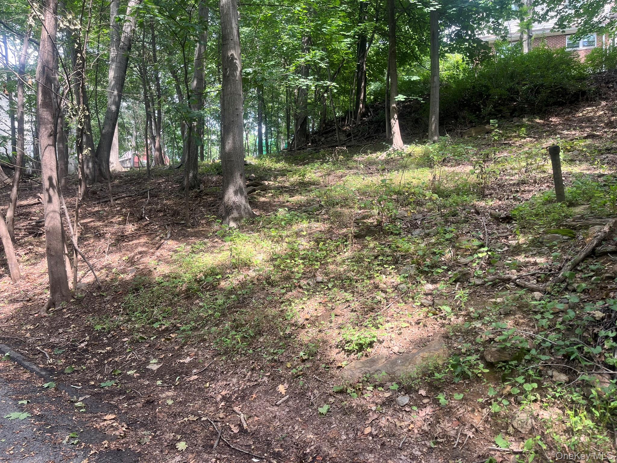 #2 photo, Springwood Avenue, Ardsley , NY 10502