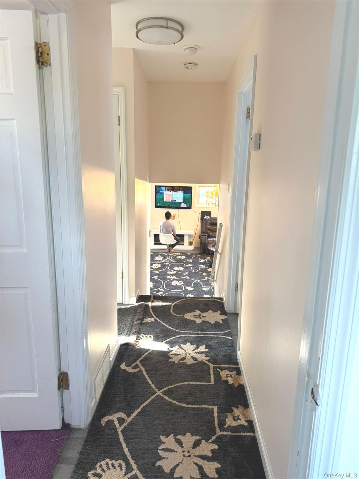 #13 photo, 58 Narcissus Avenue, Hicksville , NY 11801