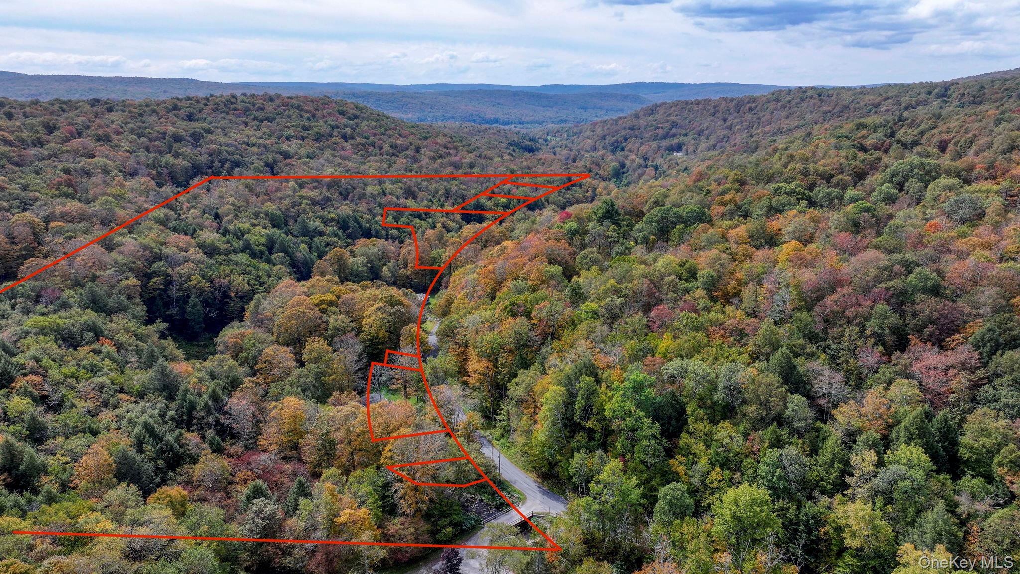 #1 photo, Grooville Road, Livingston Manor , NY 12758