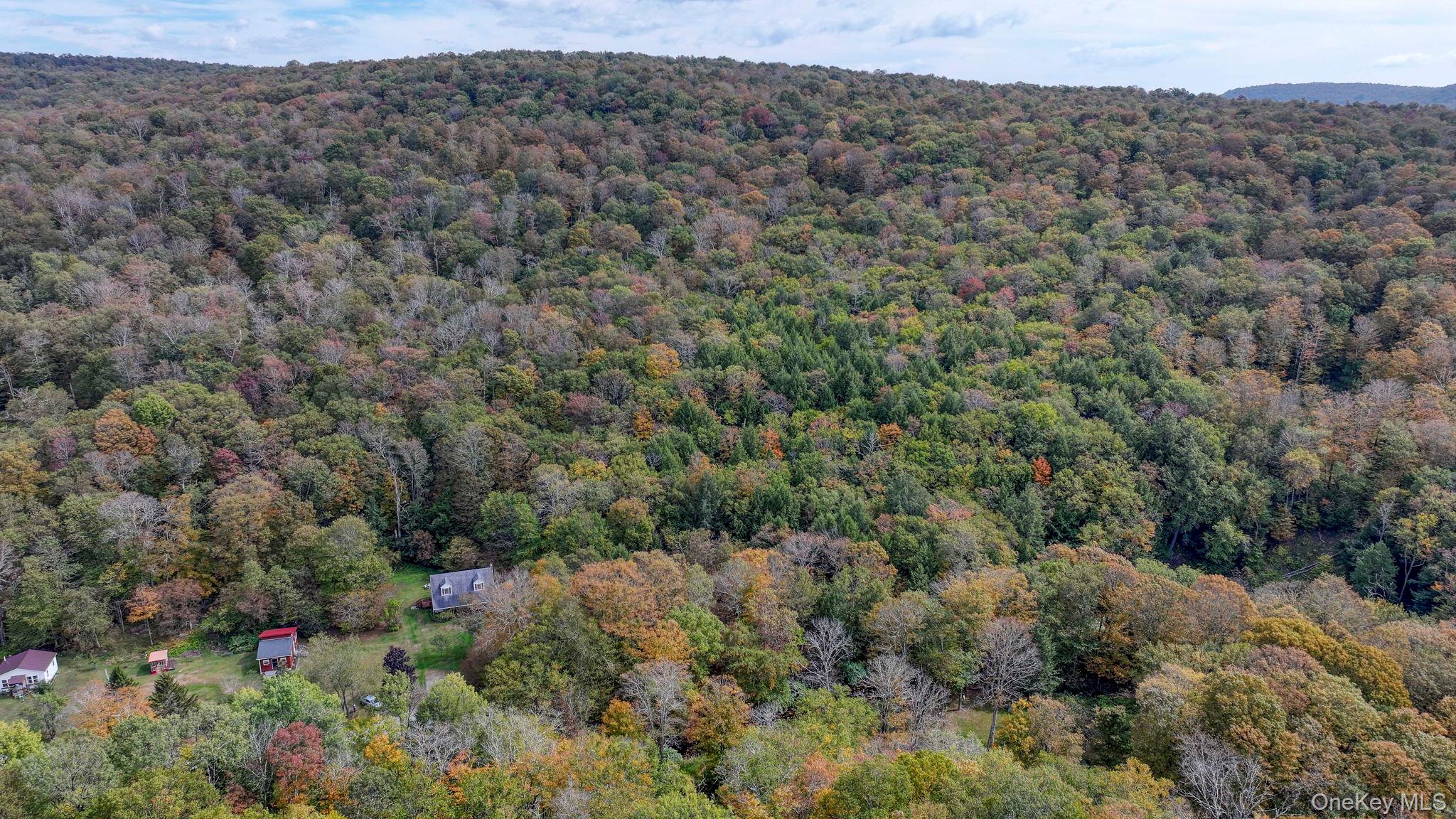 #3 photo, Grooville Road, Livingston Manor , NY 12758