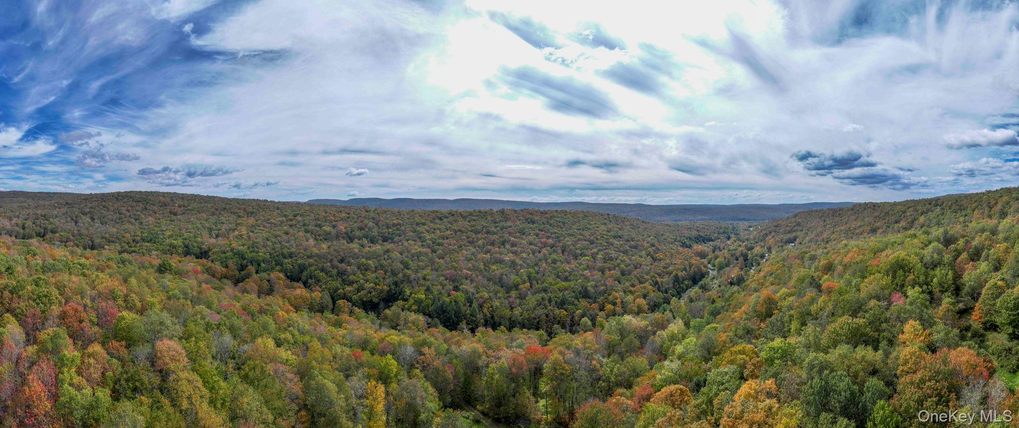 #4 photo, Grooville Road, Livingston Manor , NY 12758