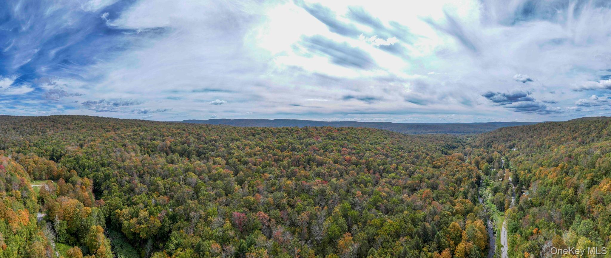 #5 photo, Grooville Road, Livingston Manor , NY 12758