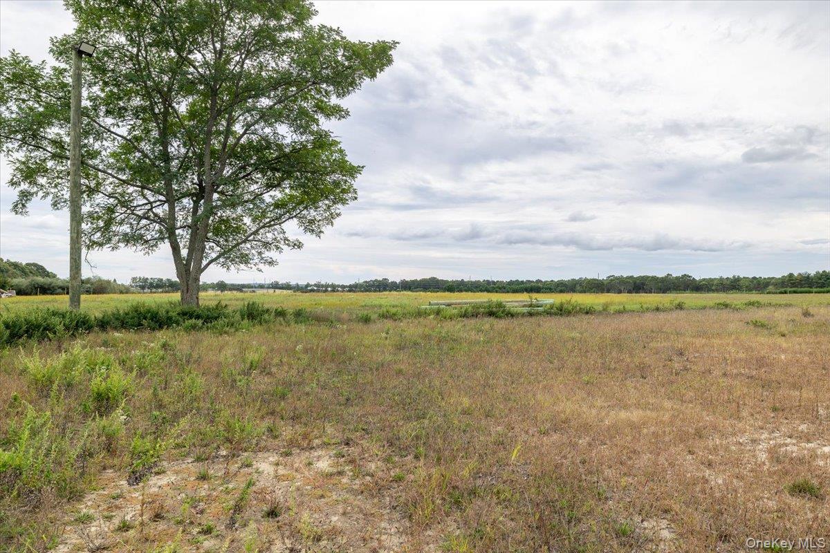 #6 photo, 1535 Middle Road, サフォーク郡 Calverton , NY 11933