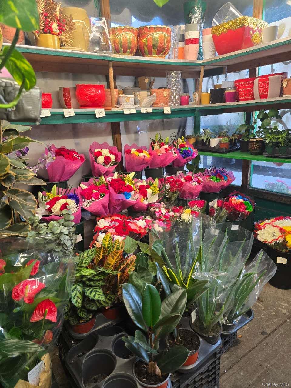 #2 photo, 44-39 Kissena Boulevard, クイーンズ区 Flushing , NY 11355