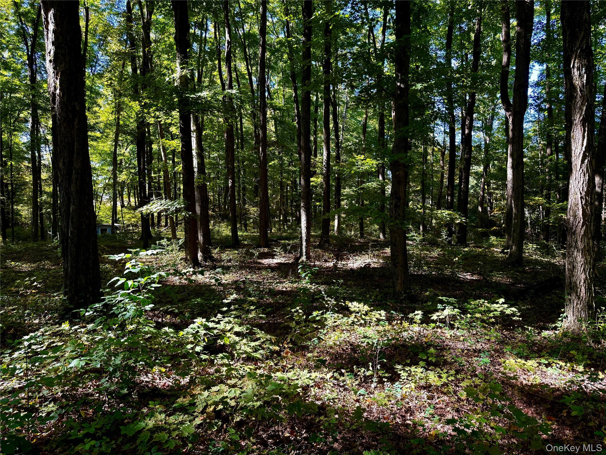 #11 photo, Freedom Road, Lagrangeville , NY 12569