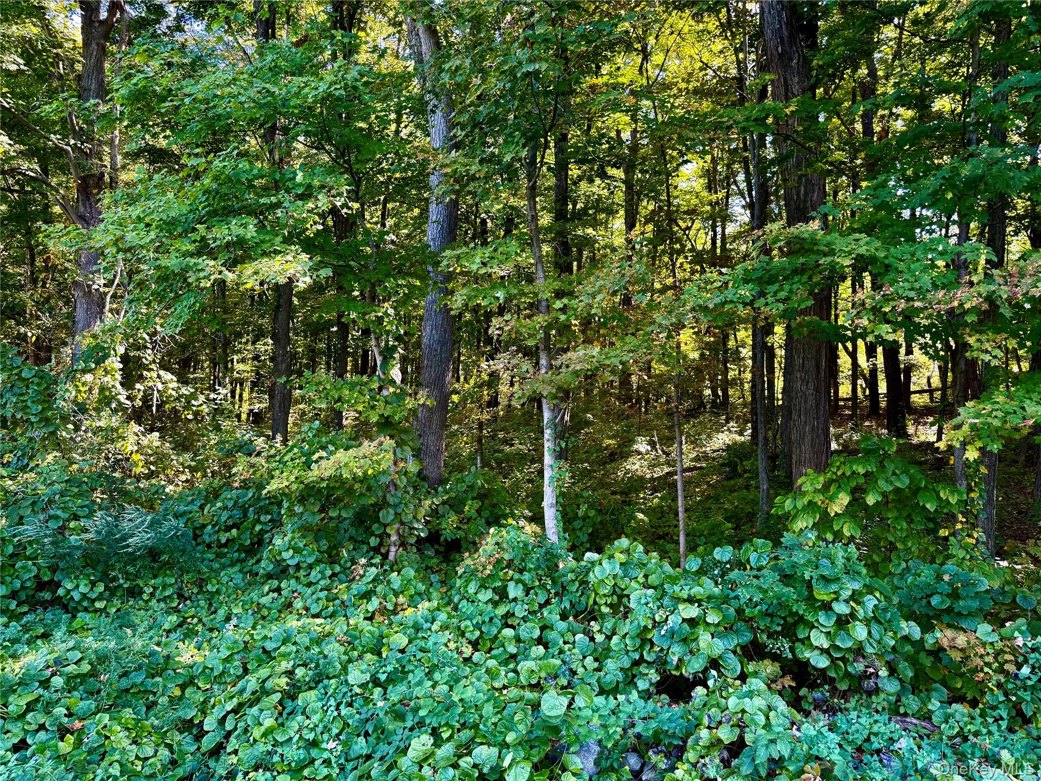 #12 photo, Freedom Road, Lagrangeville , NY 12569