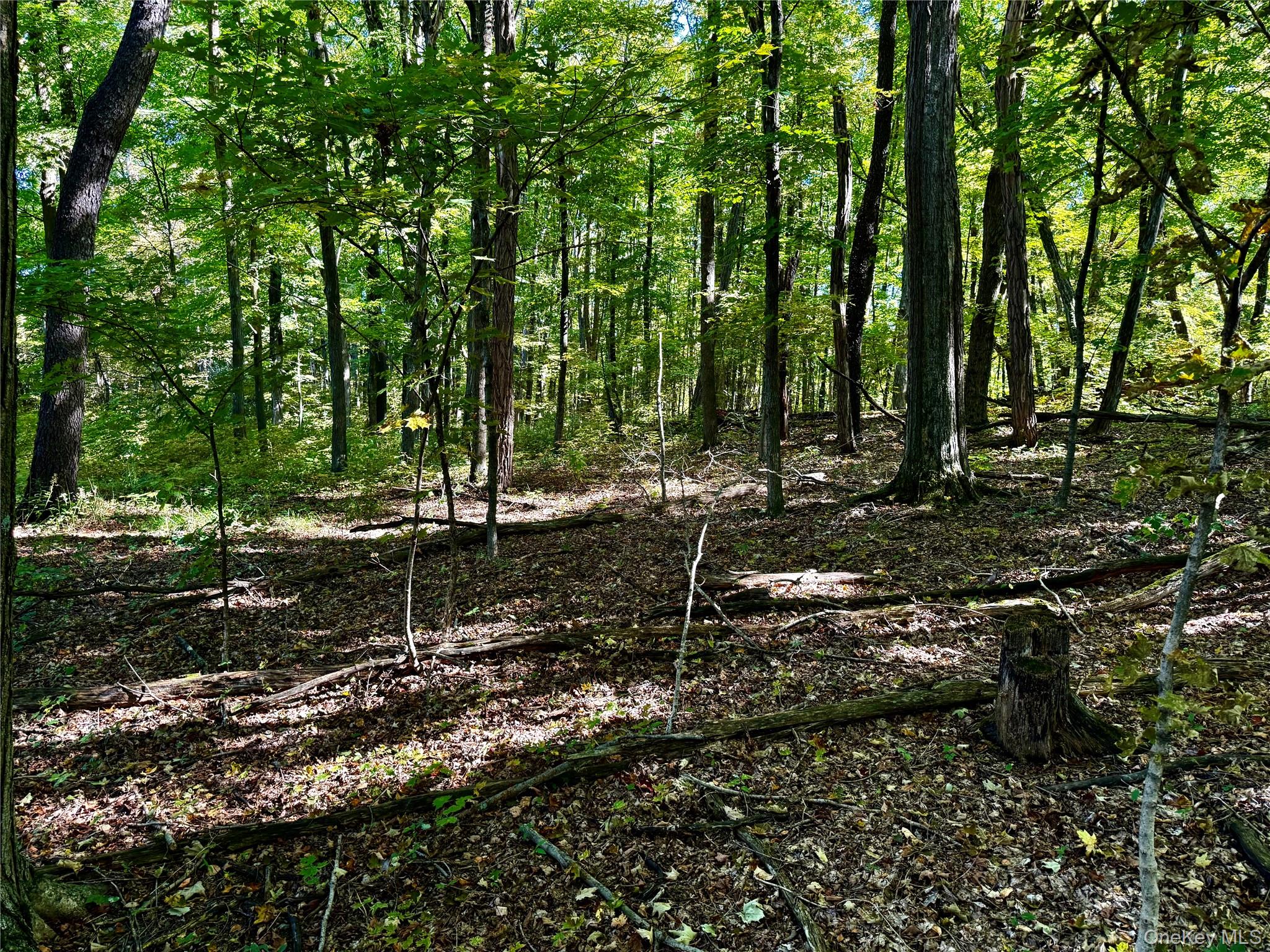 #3 photo, Freedom Road, Lagrangeville , NY 12569