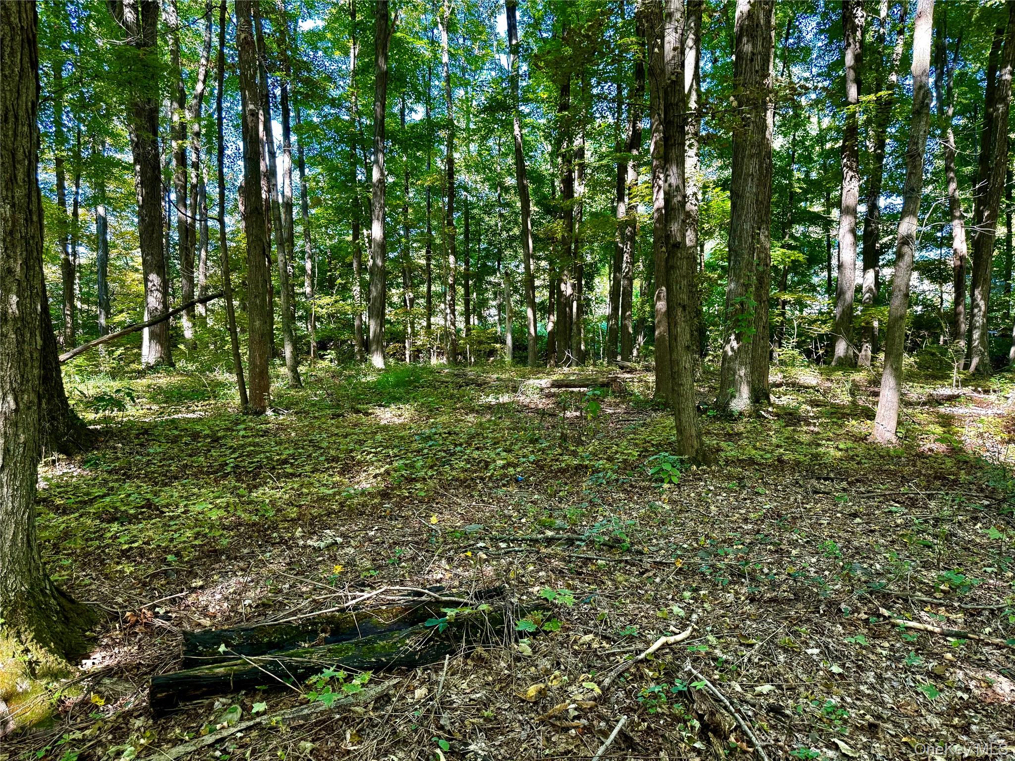 #4 photo, Freedom Road, Lagrangeville , NY 12569