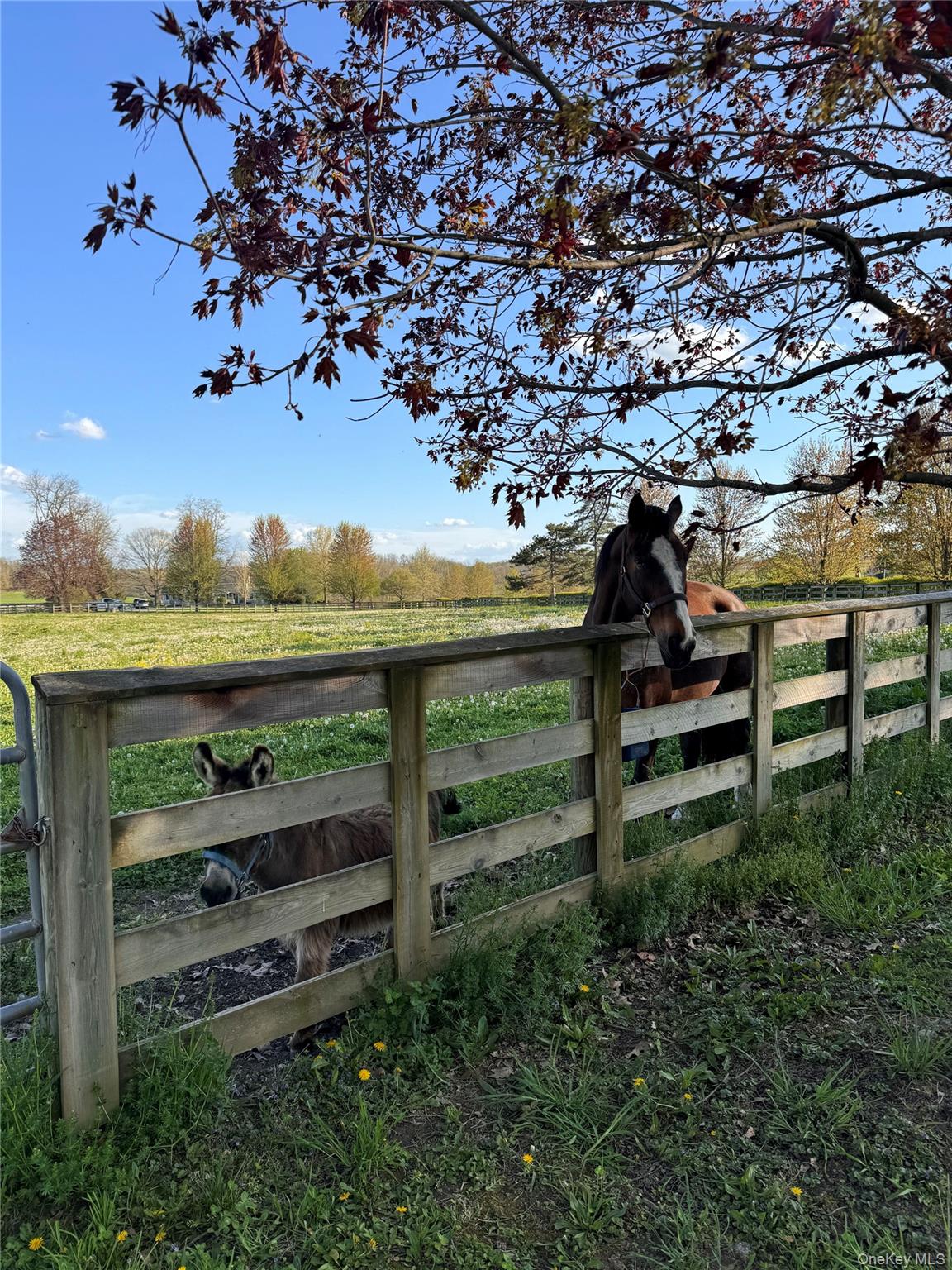 #20 photo, 2039 Salt Point Turnpike, Salt Point , NY 12578