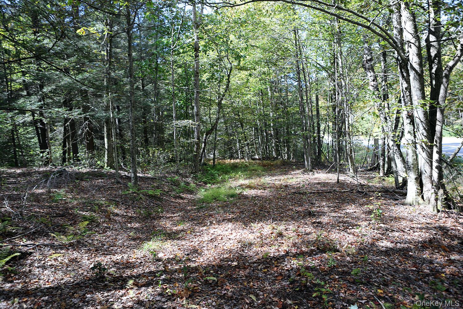 #10 photo, Rt-97, Long Eddy , NY 13783