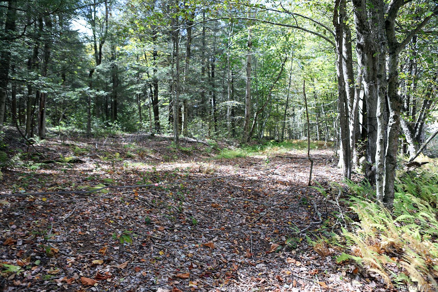 #11 photo, Rt-97, Long Eddy , NY 13783