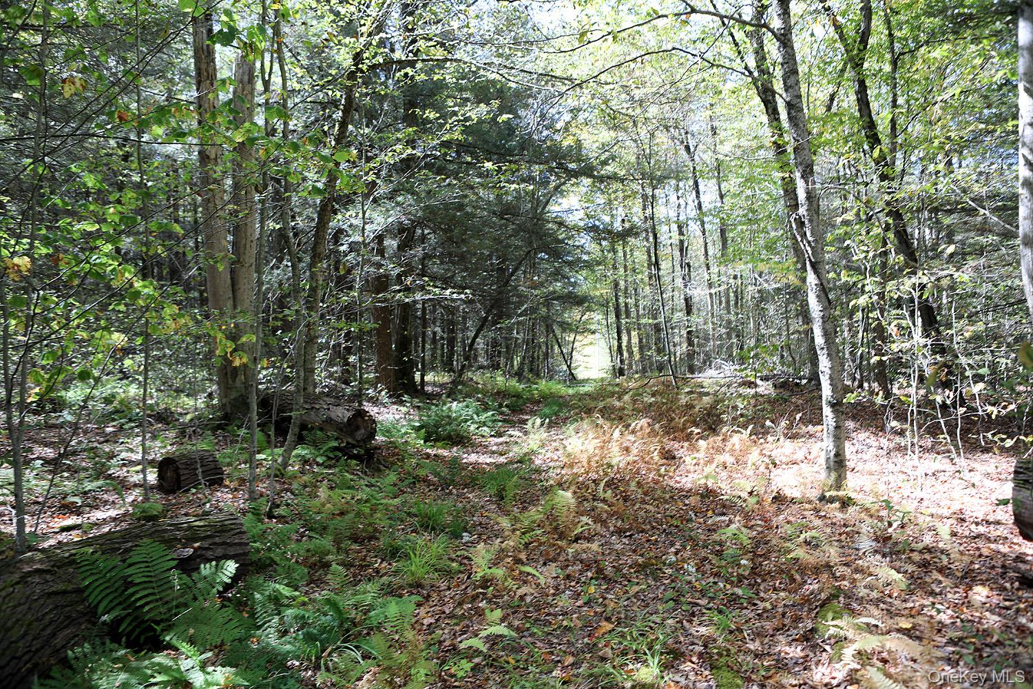 #12 photo, Rt-97, Long Eddy , NY 13783