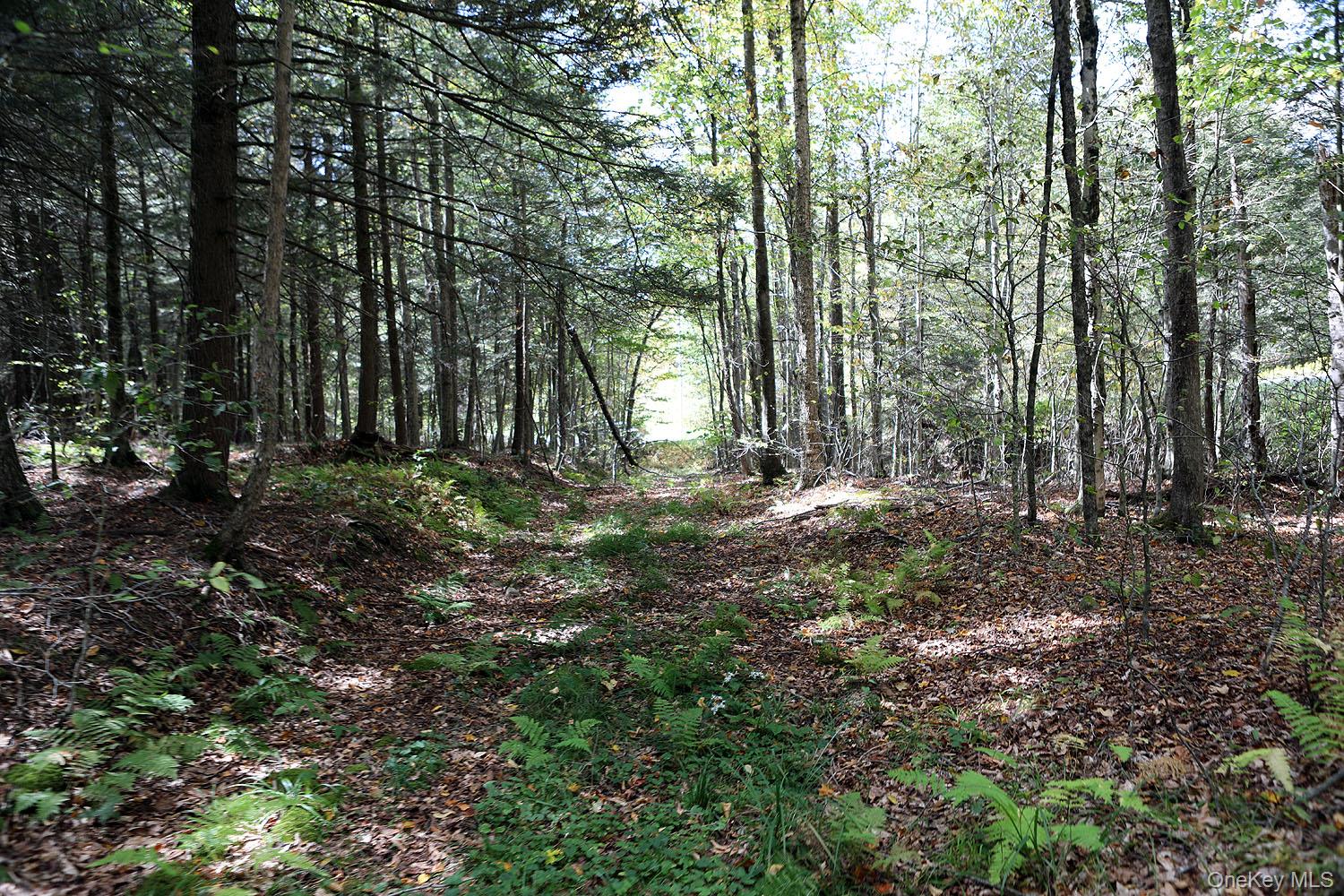 #14 photo, Rt-97, Long Eddy , NY 13783