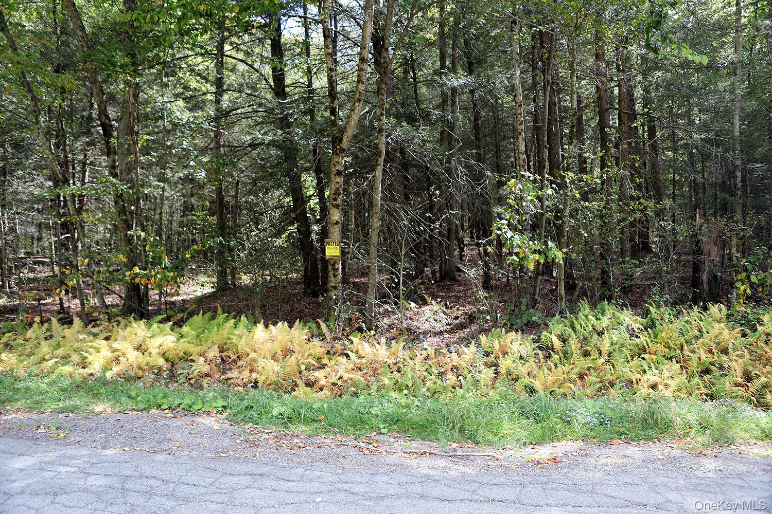 #17 photo, Rt-97, Long Eddy , NY 13783