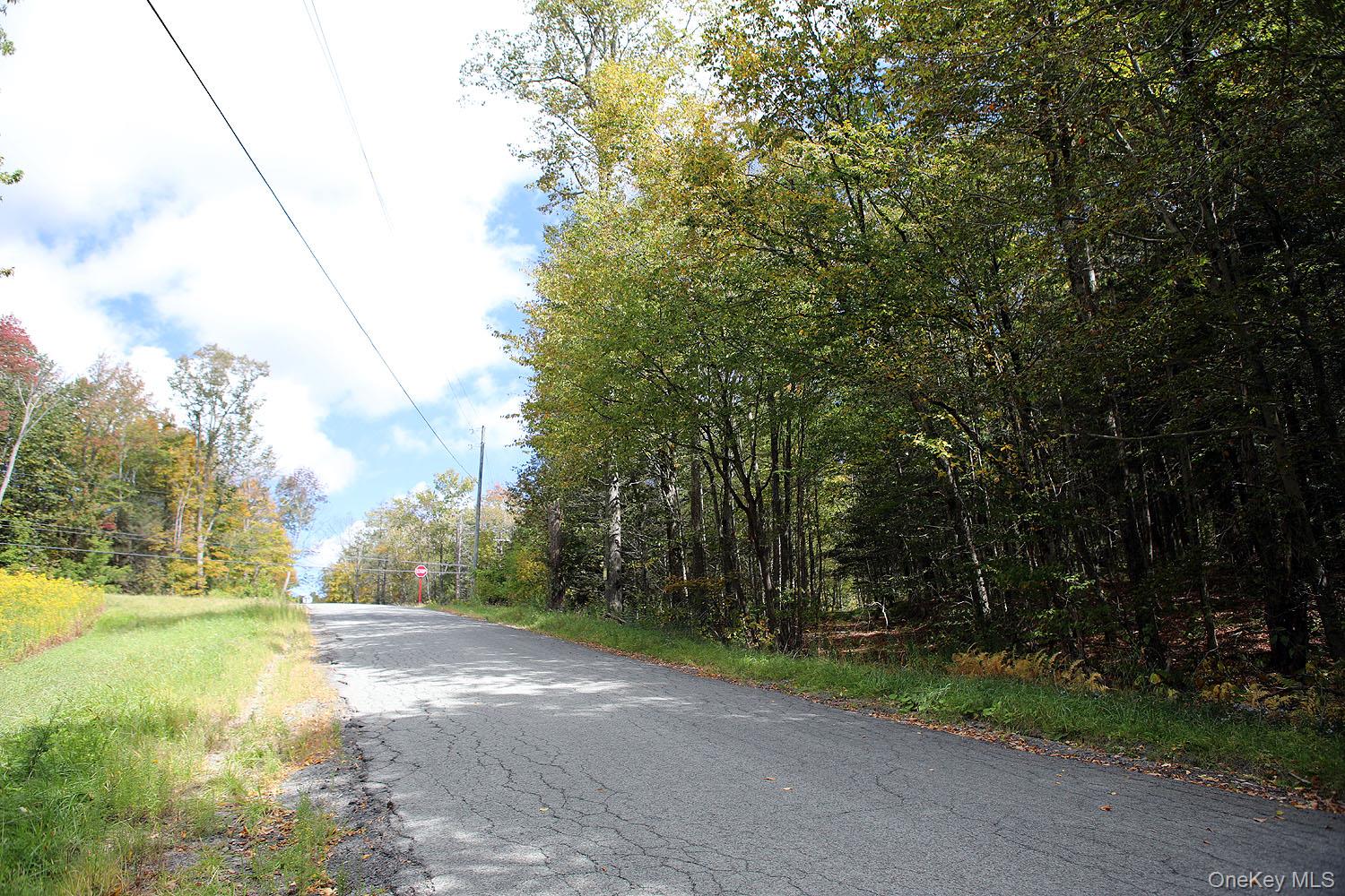 #18 photo, Rt-97, Long Eddy , NY 13783