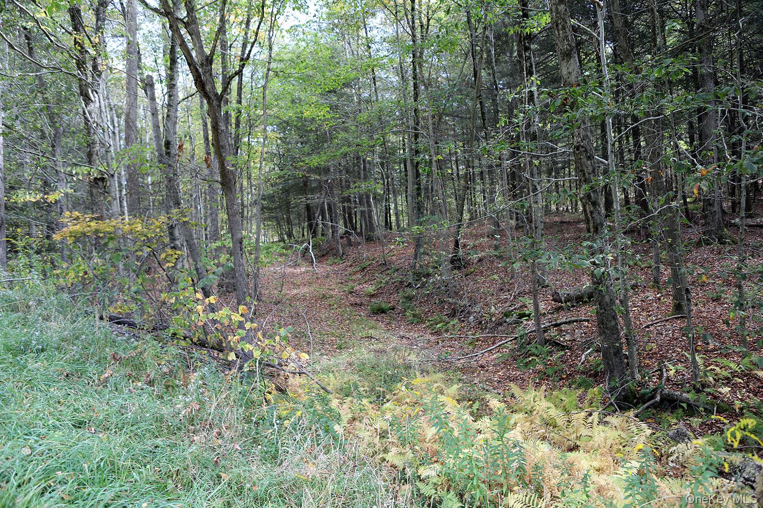 #6 photo, Rt-97, Long Eddy , NY 13783