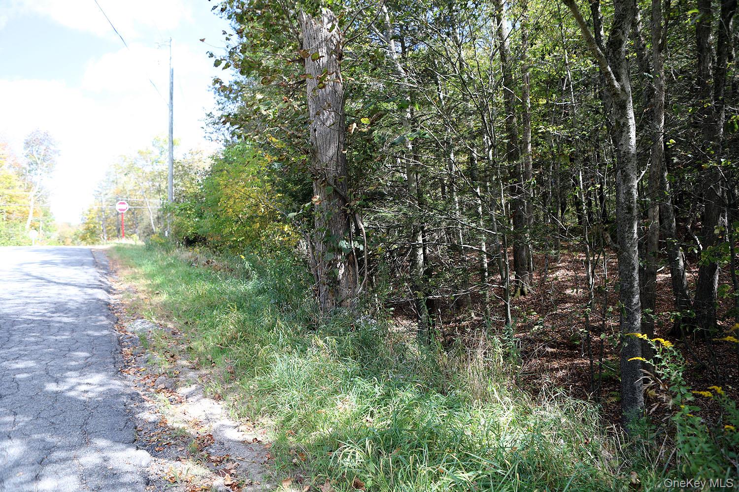 #8 photo, Rt-97, Long Eddy , NY 13783