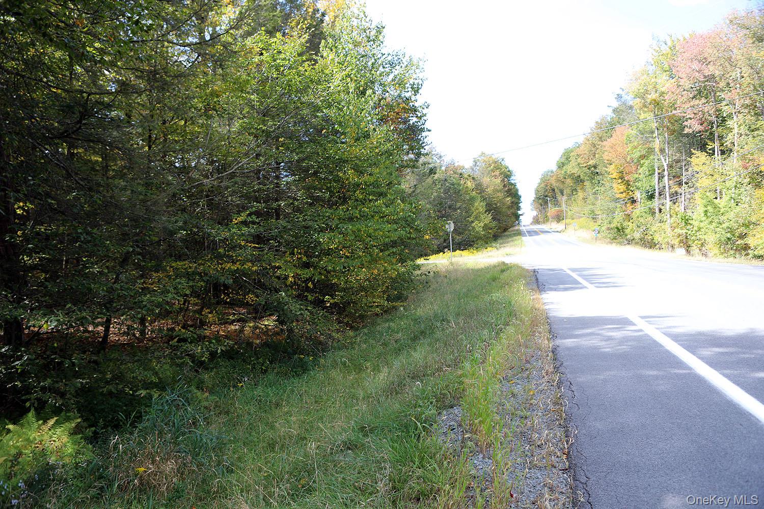 #9 photo, Rt-97, Long Eddy , NY 13783