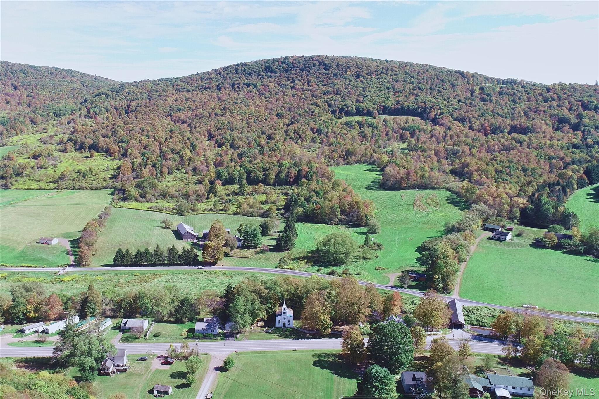 #5 photo, 47202 State Highway 10, Delhi , NY 13753