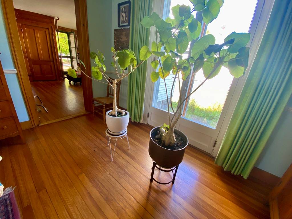 #16 photo, 37 Elm St, Delhi , NY 13753