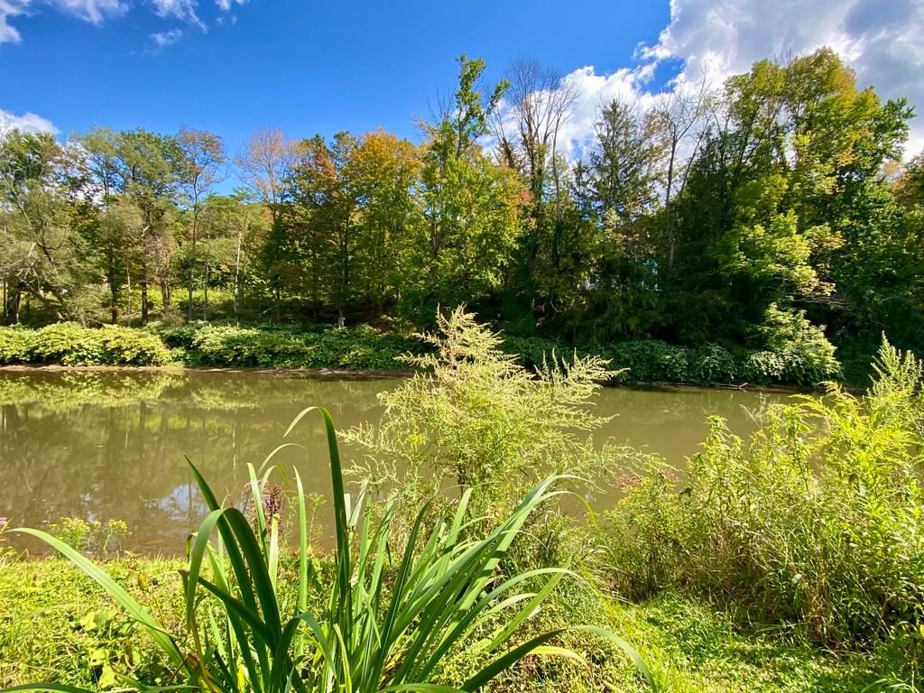 #50 photo, 37 Elm St, Delhi , NY 13753