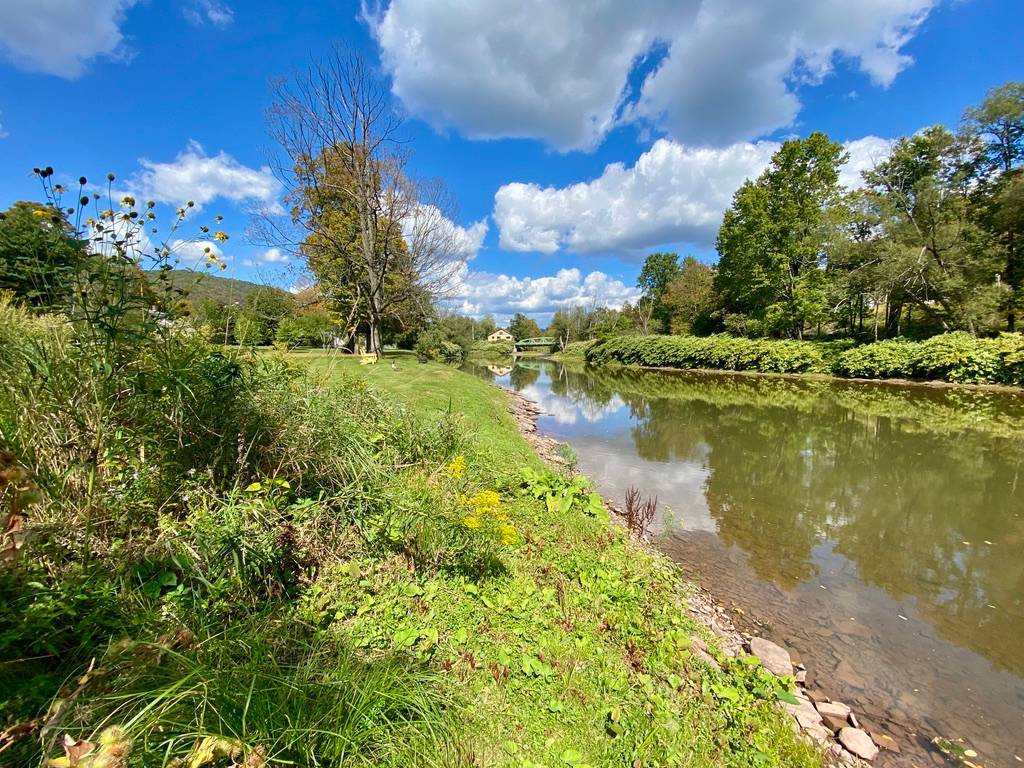 #51 photo, 37 Elm St, Delhi , NY 13753