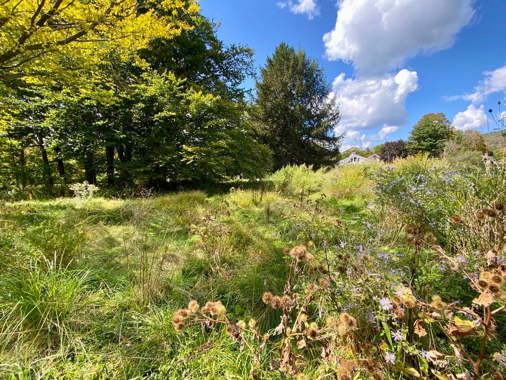 #52 photo, 37 Elm St, Delhi , NY 13753