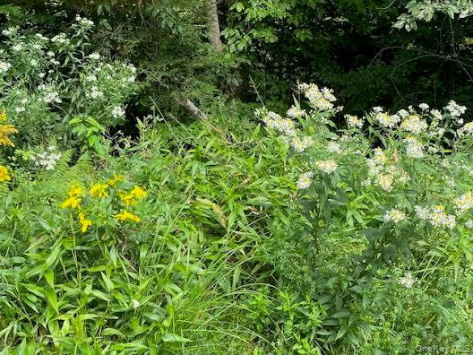 #6 photo, 155 & 147 Sherman Road, Ellenville , NY 12428