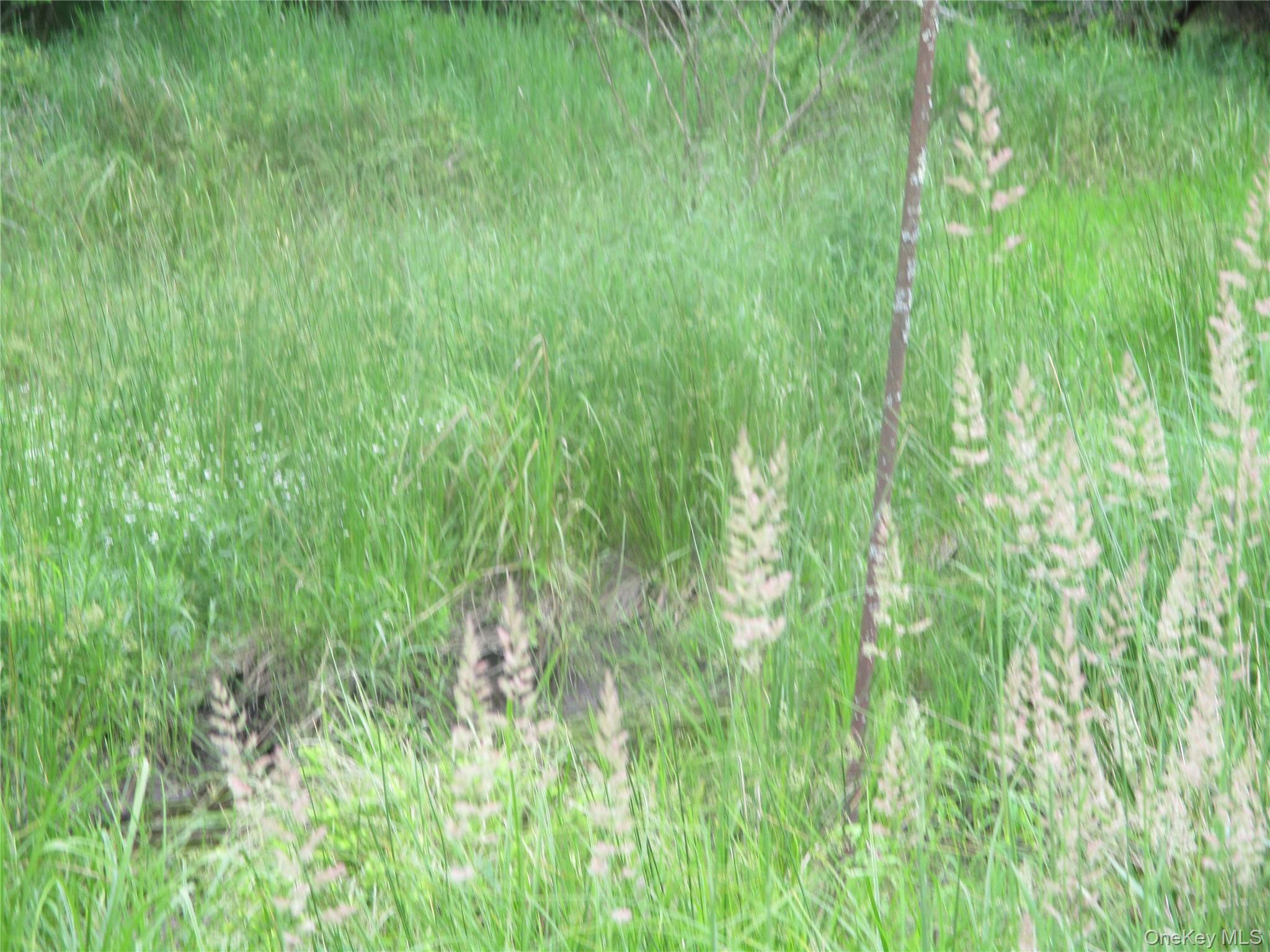 #7 photo, 155 & 147 Sherman Road, Ellenville , NY 12428