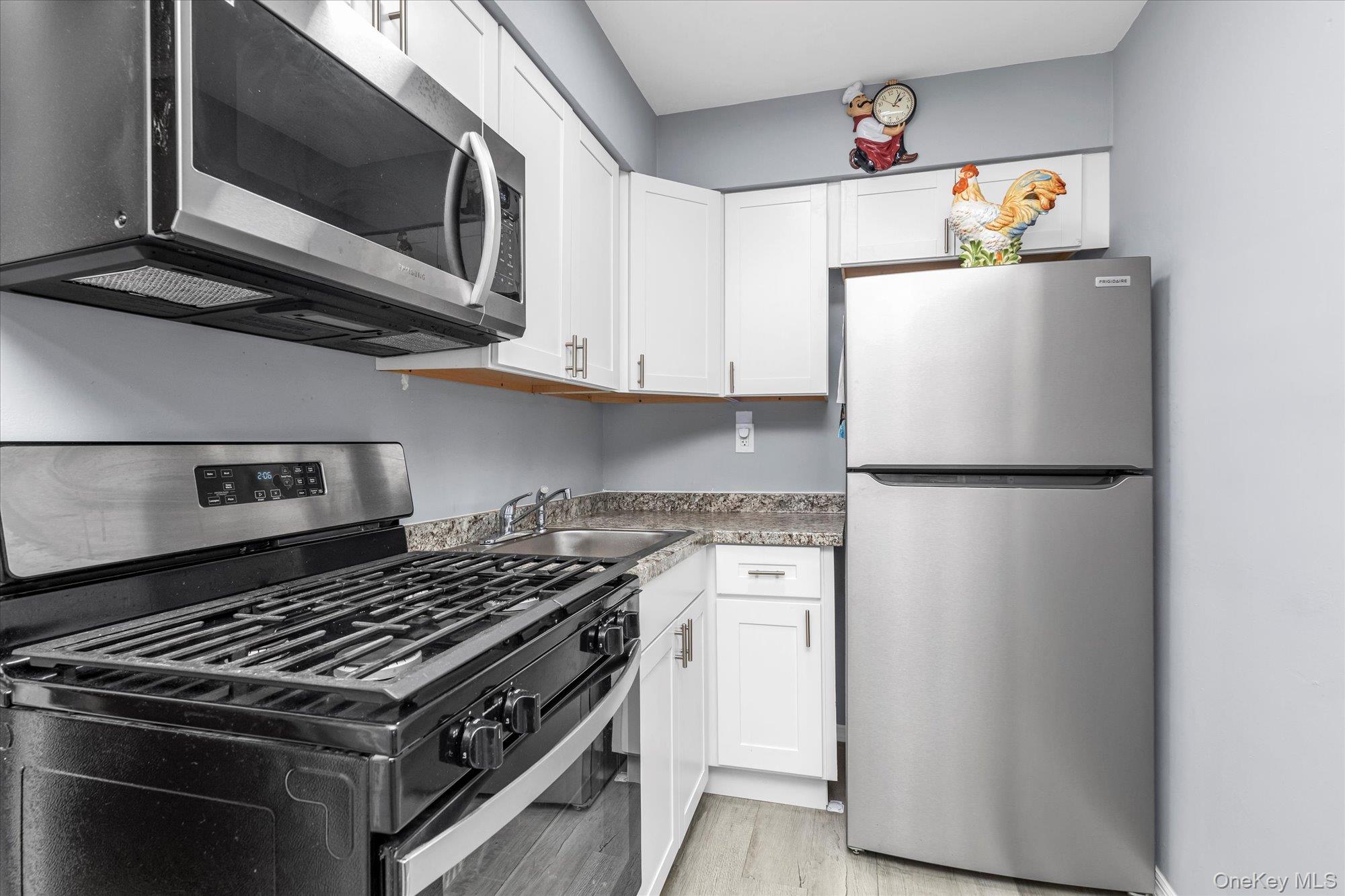 #12 photo, 195 N Village Avenue, ナッソー郡 Rockville Centre , NY 11570