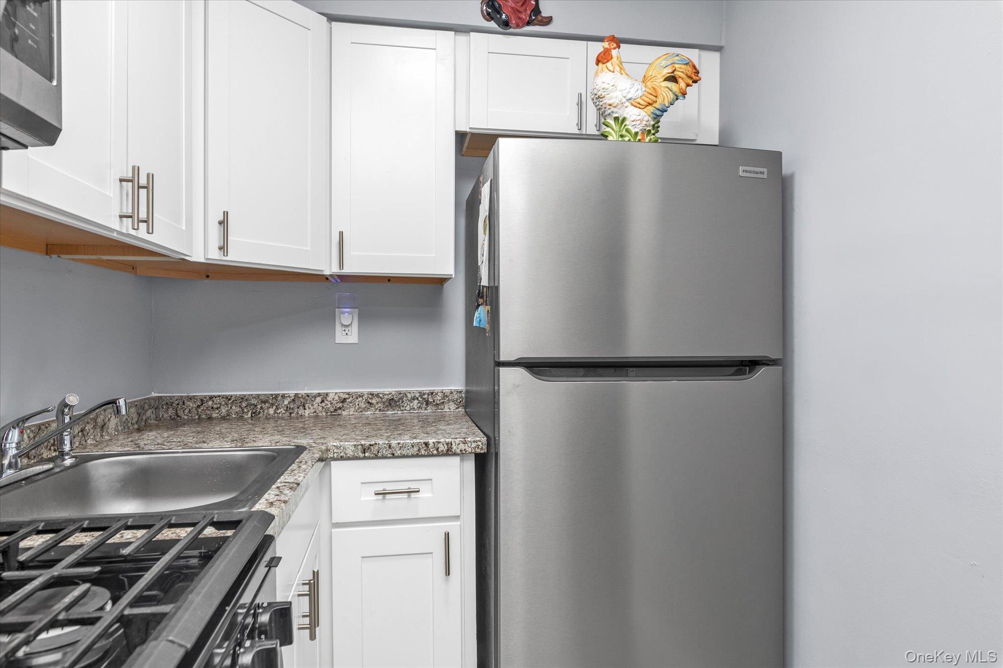 #13 photo, 195 N Village Avenue, ナッソー郡 Rockville Centre , NY 11570