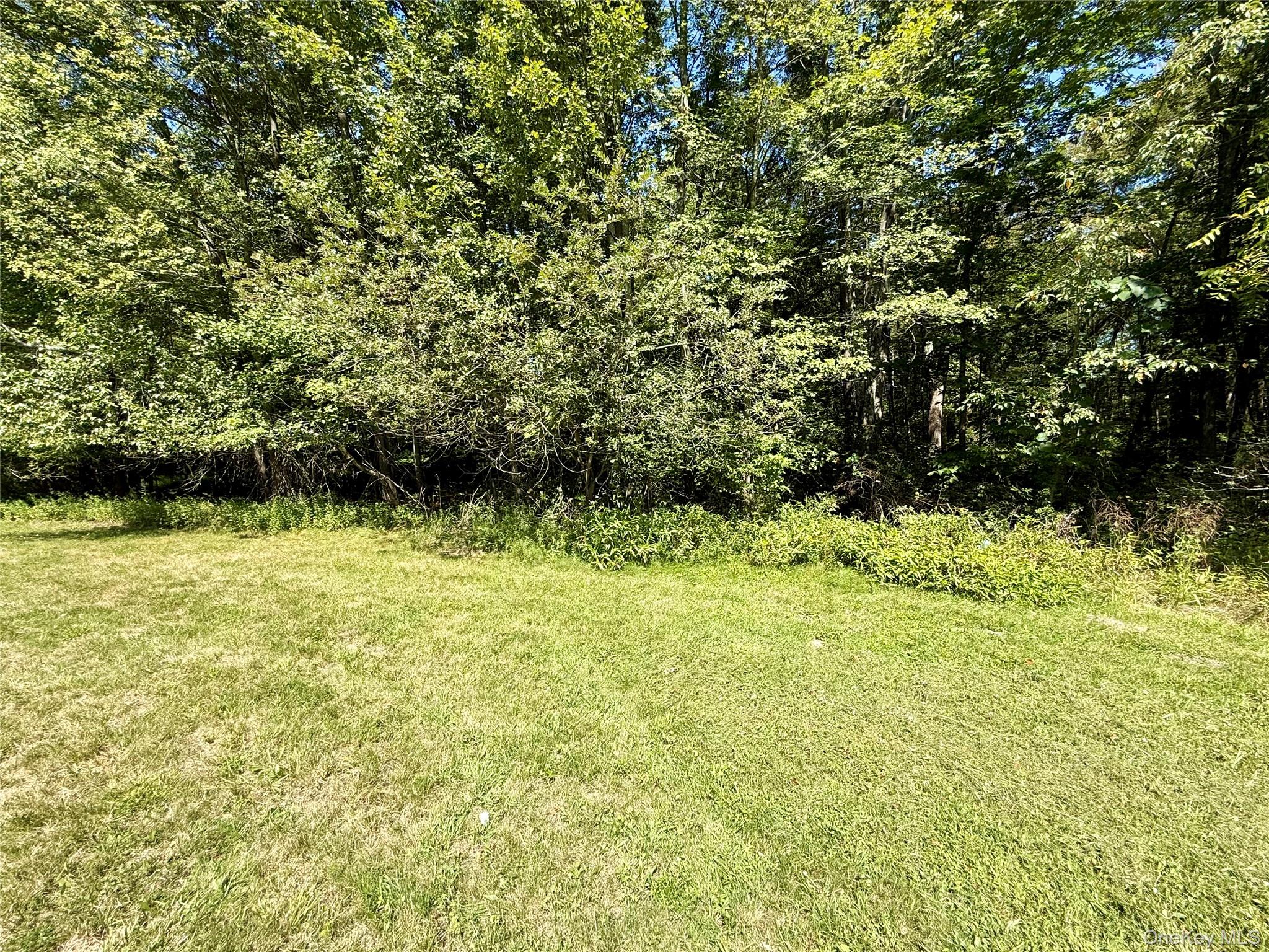 #5 photo, 118 Old Roosa Gap Road, Bloomingburg , NY 12721