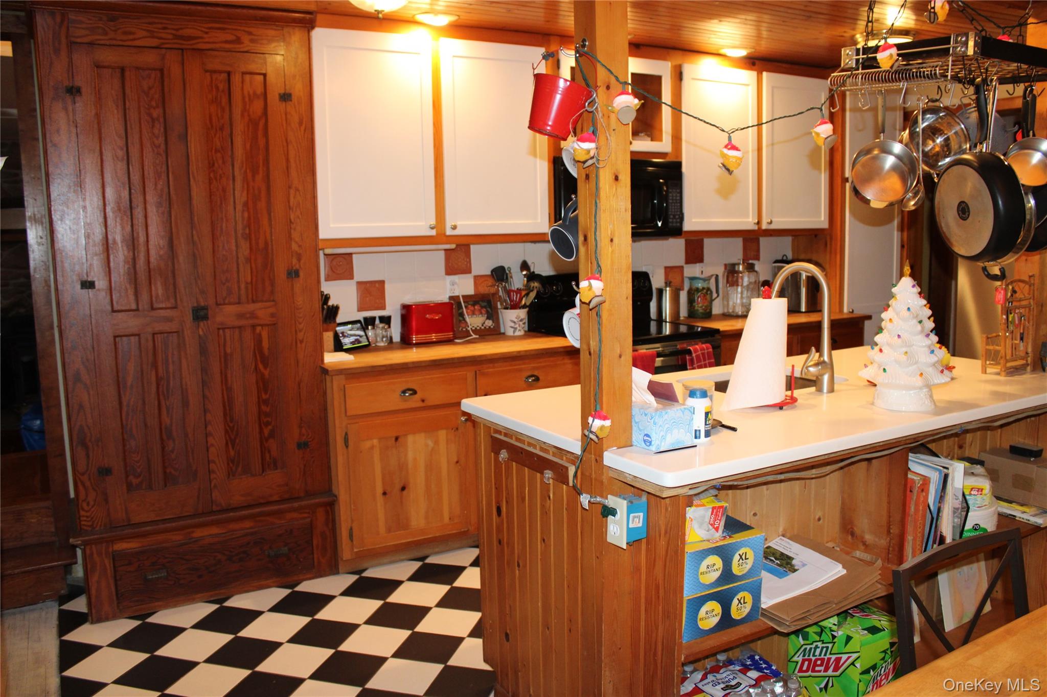 #19 photo, 446 Shandelee Road, Livingston Manor , NY 12758