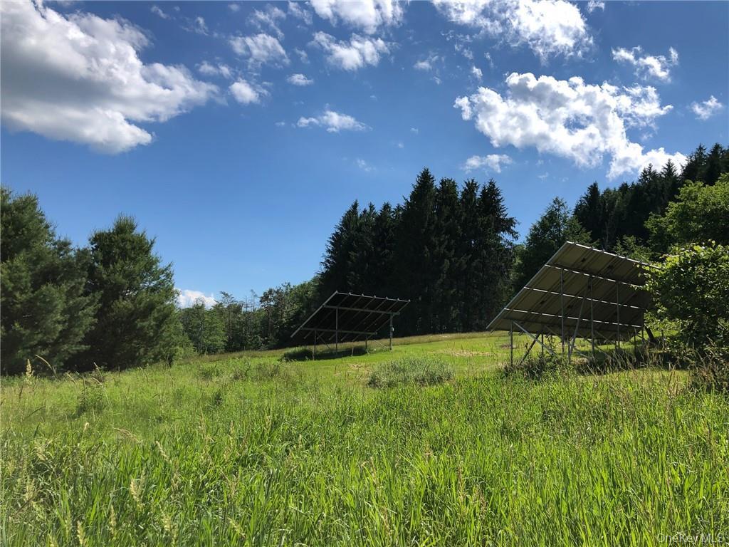 #5 photo, 446 Shandelee Road, Livingston Manor , NY 12758