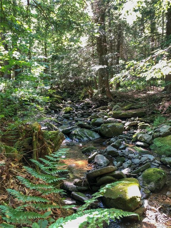 #7 photo, 446 Shandelee Road, Livingston Manor , NY 12758