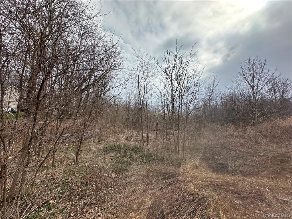 #2 photo, Lot 39 Roundhill Road, Hopewell Junction , NY 12533