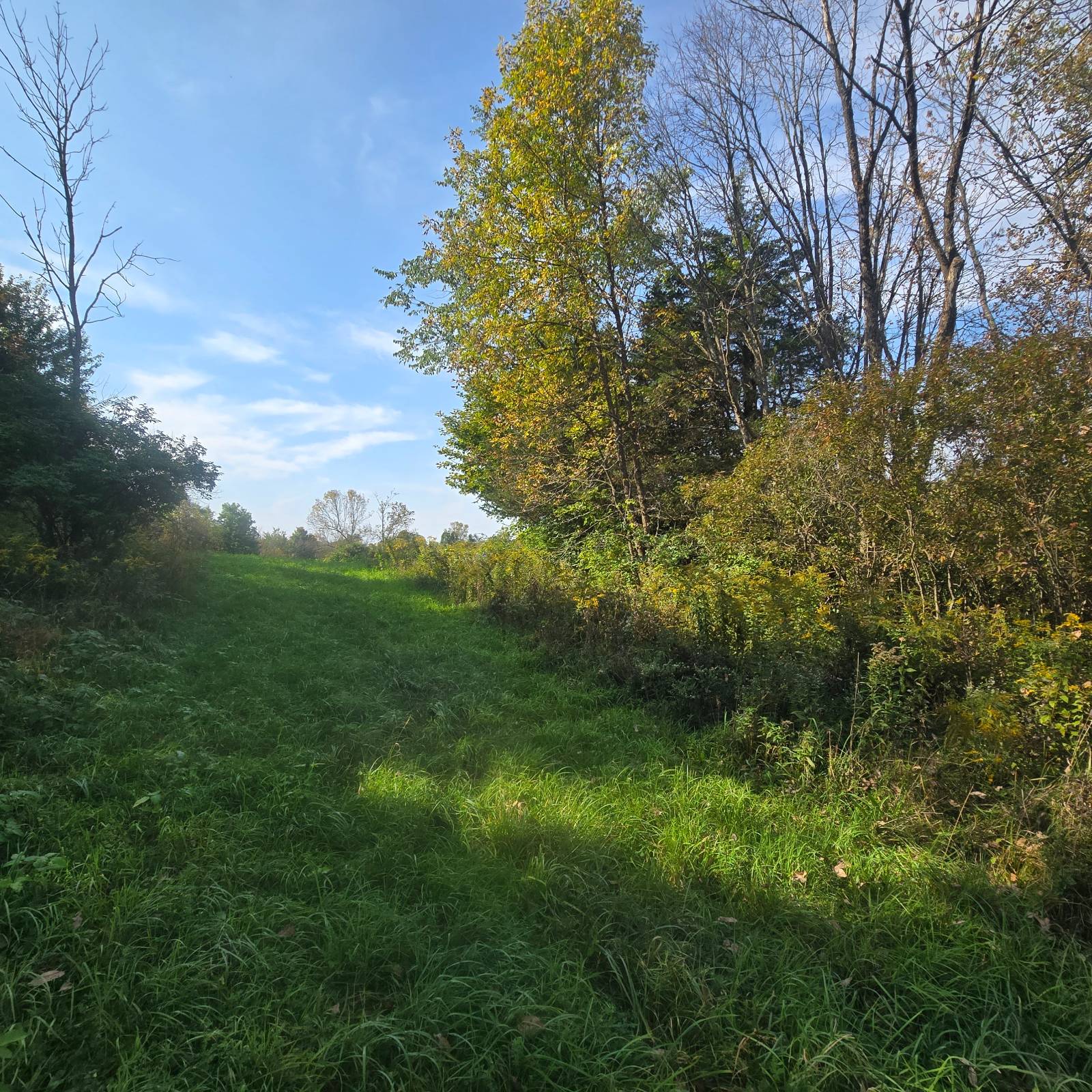 #10 photo, 36432 County Route 22, Antwerp , NY 13608